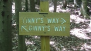 Ginny's Way