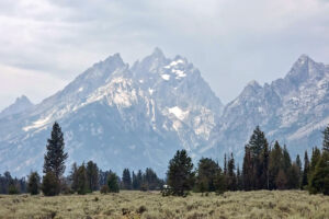 Tetons